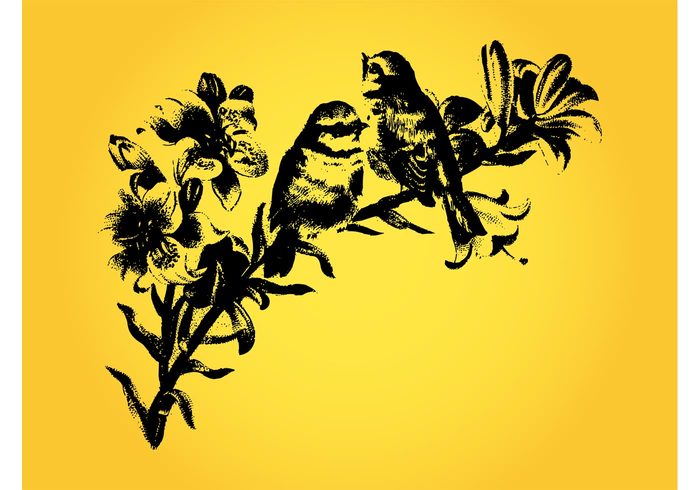 wings vintage tree spring retro nature flowers floral feathers branch blossoms bloom birds animals 