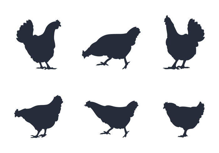 strong spur rooster silhouette rooster pose manly male hens Hen fly Fight farm animal crow chicken silhouettes chicken silhouette chicken chick bird silhouette bird animal silhouette 
