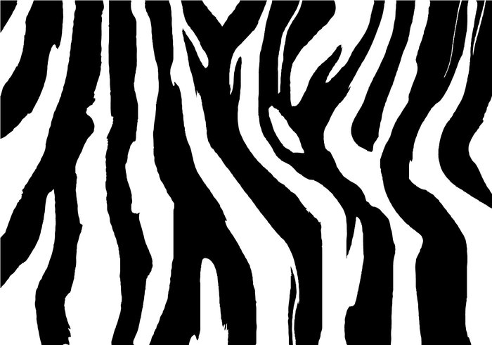 zebra stripes zebra skin zebra print background zebra print zebra lines zebra wild white texture stripes striped skin seamless pattern seamless safari print pattern natural lines design decoration black background animal africa 