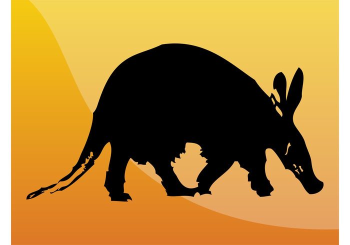 wildlife wilderness wild sticker outlines Nose icon exotic educational ears animal Aardvark vector 