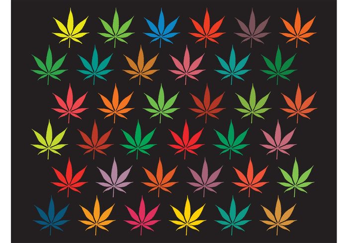weed wallpaper plant pattern nature Marijuana leaves leaf high drug background backdrop 