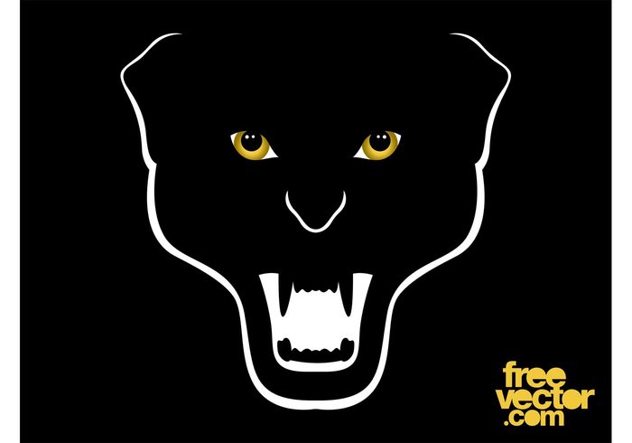 wildlife wilderness wild cat wild teeth predator panther head Fangs Big cat animal angry 