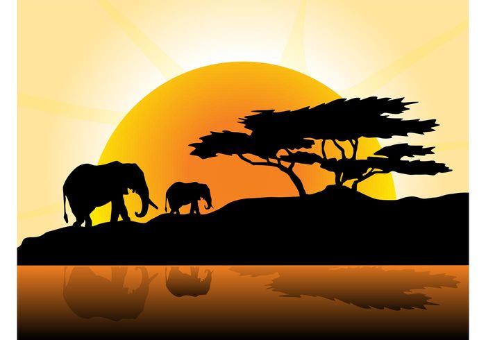 water wallpaper tree sun sky silhouettes setting plants nature lake elephants animals africa 