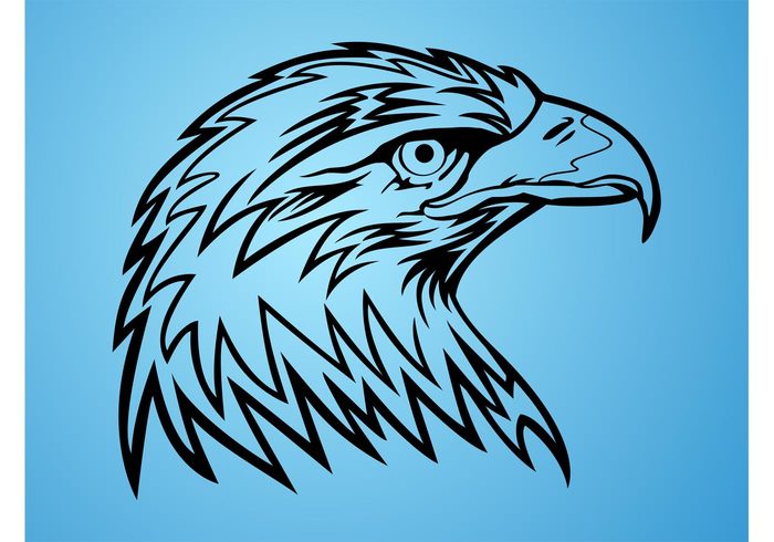 USA united states symbol powerful power Ornithology Majestic logo feathers bird beak animal america 