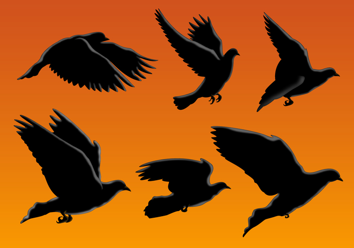 wings wing wildlife wild silhouettes silhouette nature isolated gull group freedom flying bird silhouette flying fly flock of birds flight dove black and white Birds vector birds in flight birds flying birds bird silhouette bird beautiful background animal  