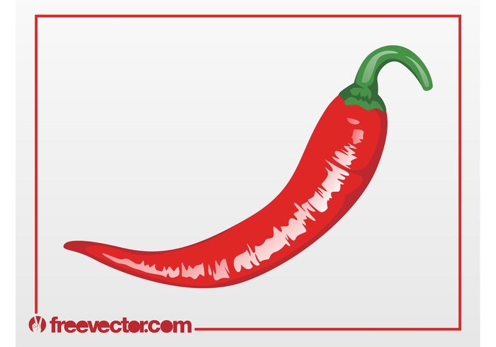 vitamins vegetable stem restaurant pepper meal Healthy food eat Diet Chilly chili pepper 