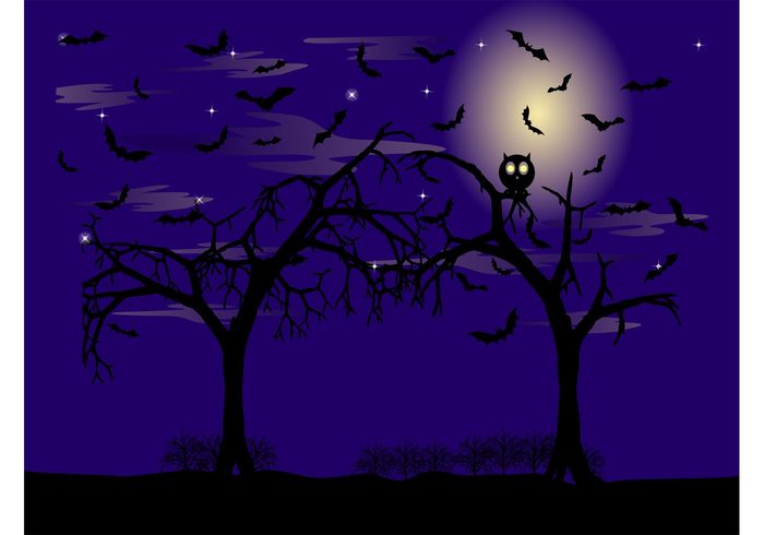 wallpaper trees silhouettes scary owl night halloween branches bird bats background 