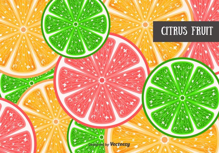 vector tropical summer slices set piece pattern orange nature lime juicy illustration grapefruit fruit fresh free background 