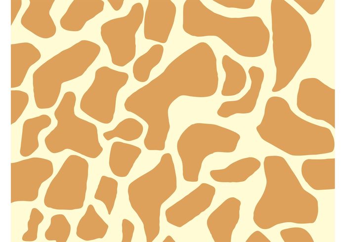 spots Spot skin pattern nature giraffe fur fauna background animal print animal 
