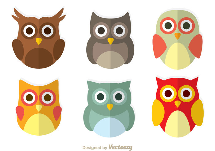owls owl funny fly flat face eye cute colorful character bird barn owls barn owl barn animal 