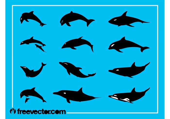 swim silhouettes silhouette sea Pups pup ocean nature marine Mammals fauna dolphins dolphin baby Aquatic animals animal 