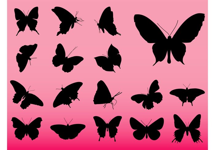 wings tattoos stickers nature natural logos land insects icons flying fly floral decals butterfly animals 