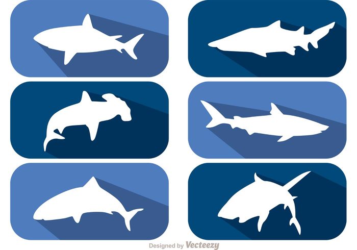 wild white underwater tail swim silhouette shark silhouette shark sea scary sawshark predator Kill Jaw isolated hunt horror hammerhead grey great white shark Furious fish fin Fear death Deadly Dangerous danger blue Bite Aquatic animal Aggression 