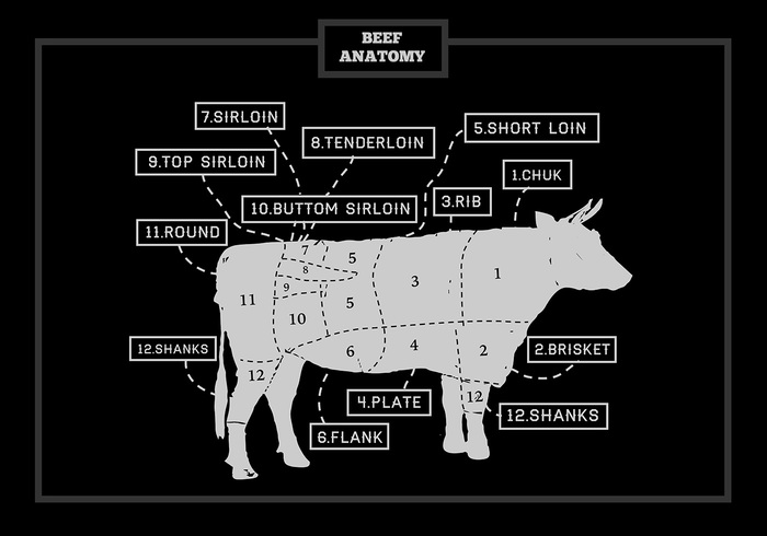 vector USA us steak sirloin silhouette short Shank scheme round rib restaurant Preparation plate placard Part outline meat loin industry illustration grill graphic food flank farm eat Domestic diagram Cuts cut Cuisine cow cooking cook chuck chart cattle butchery butcher bull brisket bottom beef-cuts beef barbecue animal american agriculture 