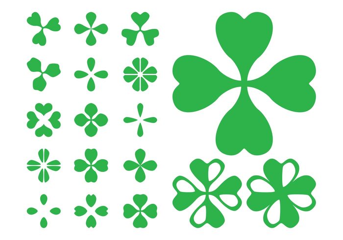 Superstition st patrick's day plant nature leaves leaf Good luck charm clovers Clover leaves clover 
