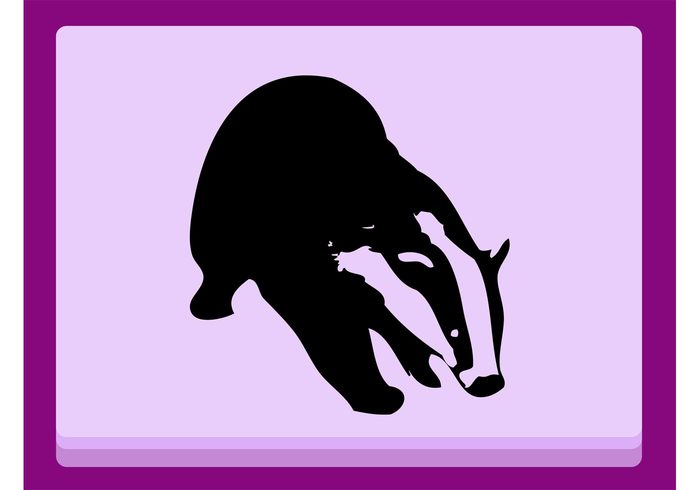 Zoo wildlife wilderness sports Sniffing silhouette outlines nature natural fur Badger vector animal 