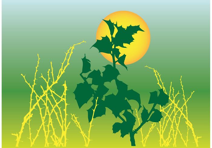 Vector resources sunset sun sting shining shine shapes radiant plants Plant vector Nature footage green circle branches 