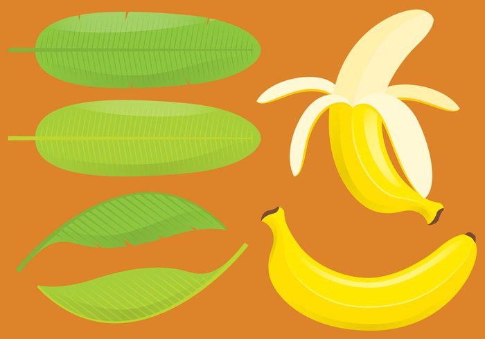 yellow white vector tropical symbolic symbol sweet summer skin set Ripe raw produce organic Nutritious nature natural market leaf juice isolated illustration icon Healthy groceries green graphic fruit freshness fresh food exotic elements drawing Dieting design collection clip art cartoon banana leaf banana art 