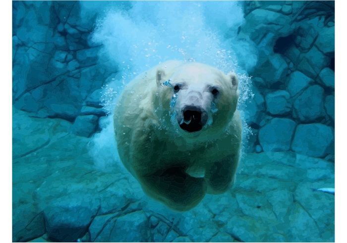 wildlife white water wallpaper vector swimming polar bear ocean Ice bear animals 
