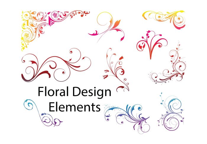 vector florals floral design elements 