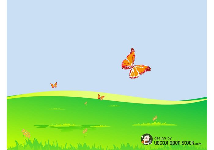 wallpaper summer plants nature insects flowers floral butterfly butterflies background animals 