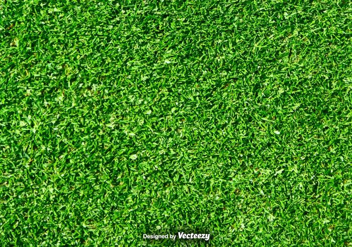 vector texture summer spring soccer season plant Outdoor organic nature natural meadow leaf lawn landscape land Herb growth grow ground greenery green grassy grassland grass golf garden fresh flora field environment ecology eco color botany beautiful 