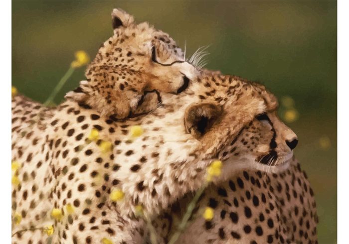 wild valentine Tender sweet spots Savannah safari romance Prey predator loving love fur fauna couple cheetah cat card animal africa 