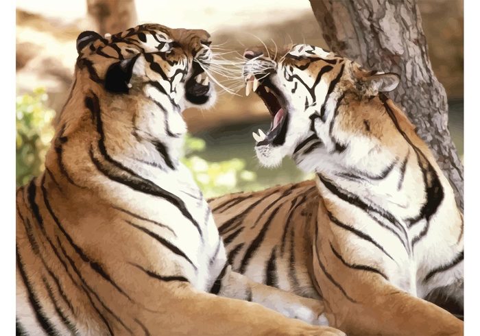 tigers safari roaring roar Outdoor Nepal nature Killer jungle india hunter hunt free fierce bhutan bangladesh asia animal angry anger 