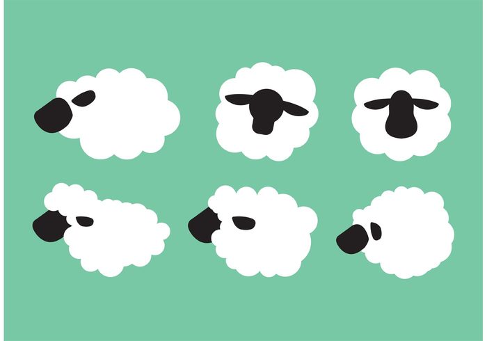 young wool white silhouettes silhouette sheep isolated sheep ram nature mammal lamb isolated farmer farm Domestic cute cattle black animal agriculture 