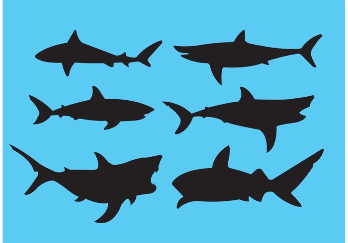 wildlife white water vector underwater tail silhouettes silhouette sharks shark silhouette shark collection shark set sea ocean nature marine isolated illustration icon great white shark fish fin Dangerous danger collection black animals animal 