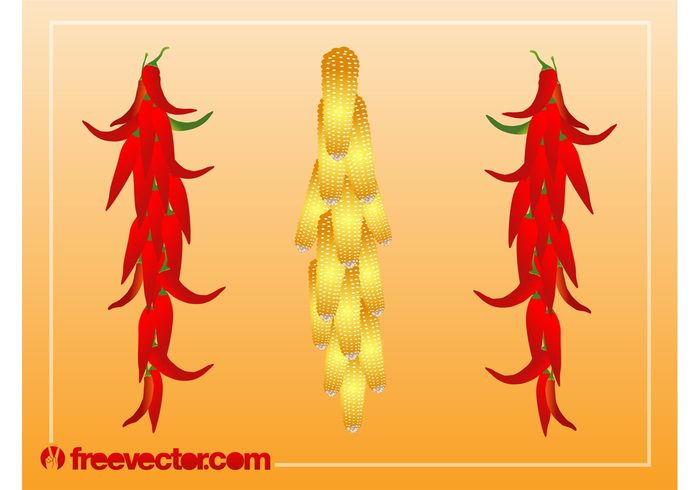 vitamins vegetables peppers market ingredients Healthy hang food eat corn Cobs Bunches 