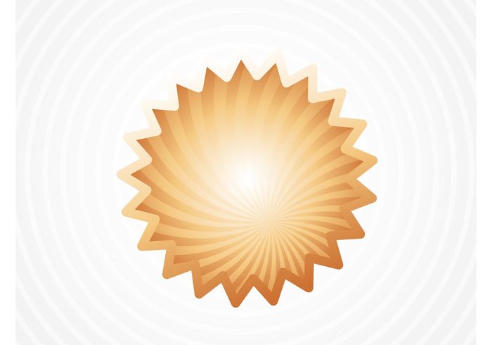 symbols stars spiral shell seashell sea ocean nature logo badge icons beach badge  