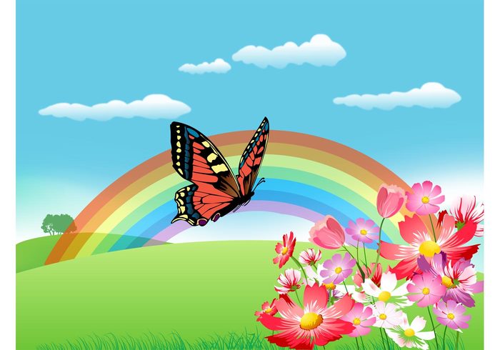 wallpaper summer spring sky rainbow nature grass flowers floral fields eco clouds butterfly background 