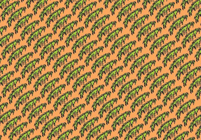tropics tropical pattern tropical background tropical sea pattern palm tree Palm Leaf Isolated pattern Palm Leaf Isolated background palm leaf isolated Palm leaf palm outdoors orange ocean nature leaf pattern leaf background leaf green background 