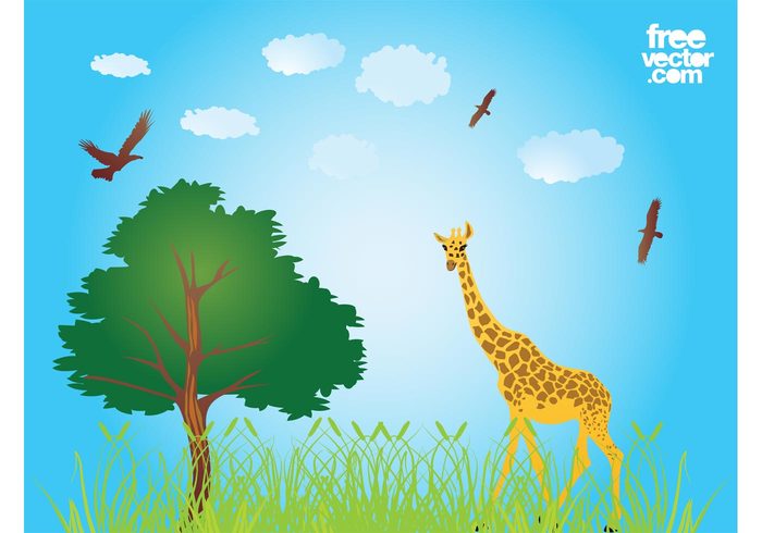 wildlife wilderness wild tree savanna plants jungle grass giraffe flora fauna birds background animals african africa  