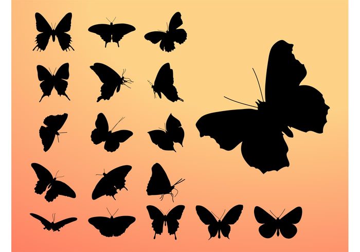 wings spring nature insects flying fly floral fauna Butterfly vectors Butterflies graphics butterflies antennas animals 
