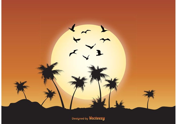 wings wildlife white vector vacation tropical scene tropical town symbol Soar silhouettes season scenic scene poultry peaceful palm tree outdoors outdoor scene ocean nature migrating many life isolated illustration group graphic Geese formation fly flock of birds vector flock of birds flock flight drawing design birds bird beautiful animals 