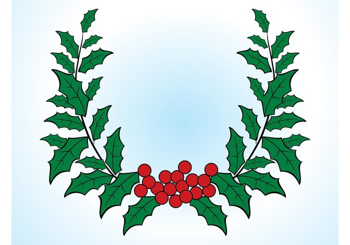 plant nature mistletoe leaves fruits decorative decoration christmas wreath christmas celebrate branches 