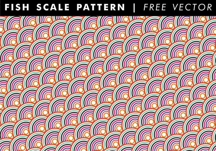 wallpaper shapes scale rounded red purple Patterns pattern orange Magenta free vector free fish scale vector free fish scale pattern free fish scale pattern vector fish scale pattern free vector fish scale pattern fish scale fish colors circles background 