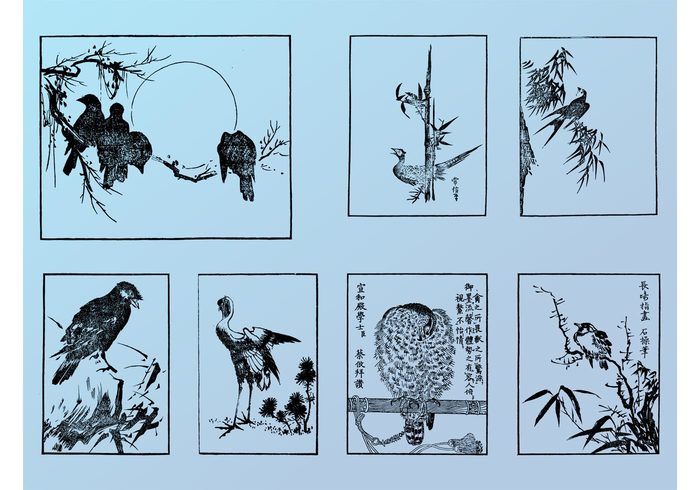 vintage traditional retro Ornithology nature Lithography japan Hieroglyphs Engravings china asia animals 