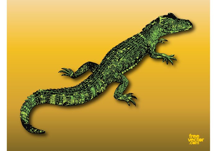 wildlife wilderness wild tail scales reptile nature fauna crocodile cartoon animal alligator 