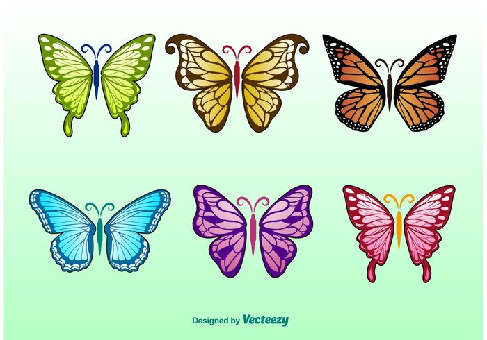 wing summer spring silhouette realistic ornate nature isolated insect hand drawn butterfly fly colorful butterfly colorful butterfly icon butterfly butterflies beauty beautiful animal 
