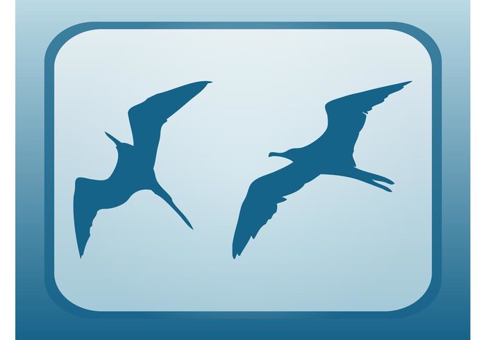 wings silhouettes seagulls Seabirds nature Marine birds icons gulls flying fly fauna animals 