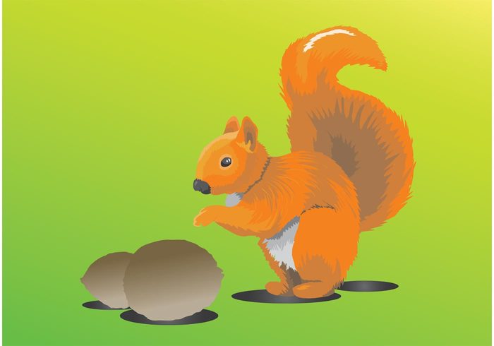 USA tail squirrel rodent red profile park outdoors nut nature mammal hungry forest food Europe eat drawing Chipmunk brown autumn animal 