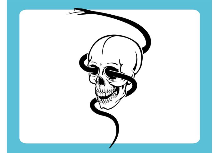 viper traditional tattoo designs snake skull skeleton serpent risk Heavy metal Hard rock Flash danger cool animals 