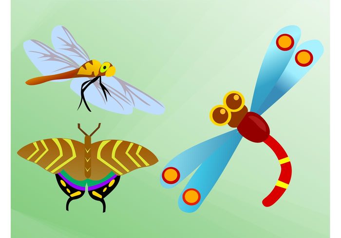 wings nature Insects vectors flying fly dragonfly comic cartoon butterfly animals 