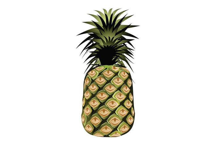 tropical fruit pineapples pineapple pine apple fruit food 