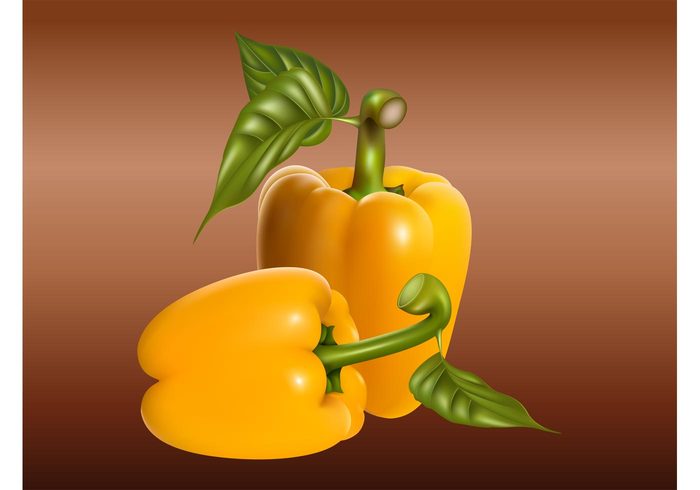 vegetables shiny Ripe Pepper vectors paprika natural lush leaves Healthy fresh food cooking Bell peppers 