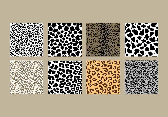 wildlife wild texture style spots safari print pattern ornate leopard print leopard patterns leopard pattern leopard fabric decorative animal skin animal print animal 