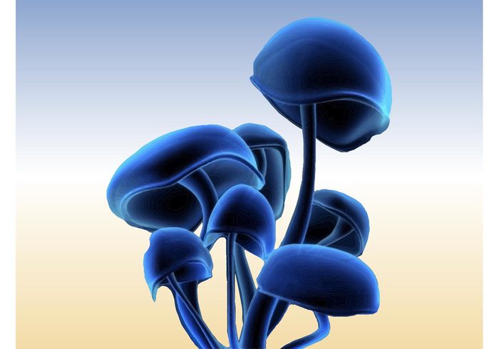 Troop Stems Stalks Shrooms Psychedelic drugs nature Narcotics Hallucinations fungi drugs Caps 
